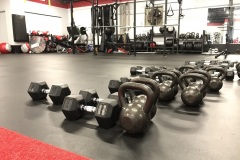 Free Weights